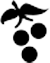 grape_icon